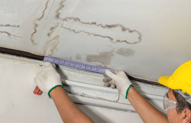 Reliable Burst Pipe Cleanup contractor in Sugar City, CO by Water Damage Irwin
